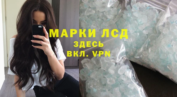 хмурый Нея