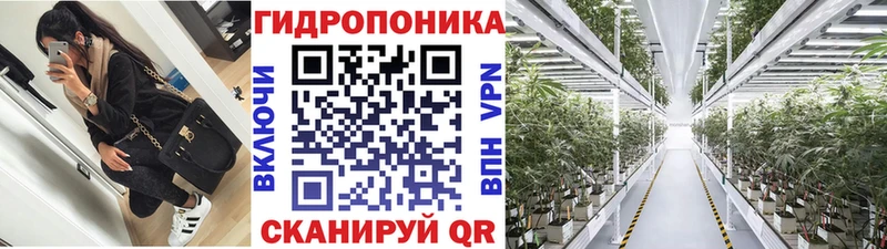 цена наркотик  Махачкала  Конопля ГИДРОПОН 